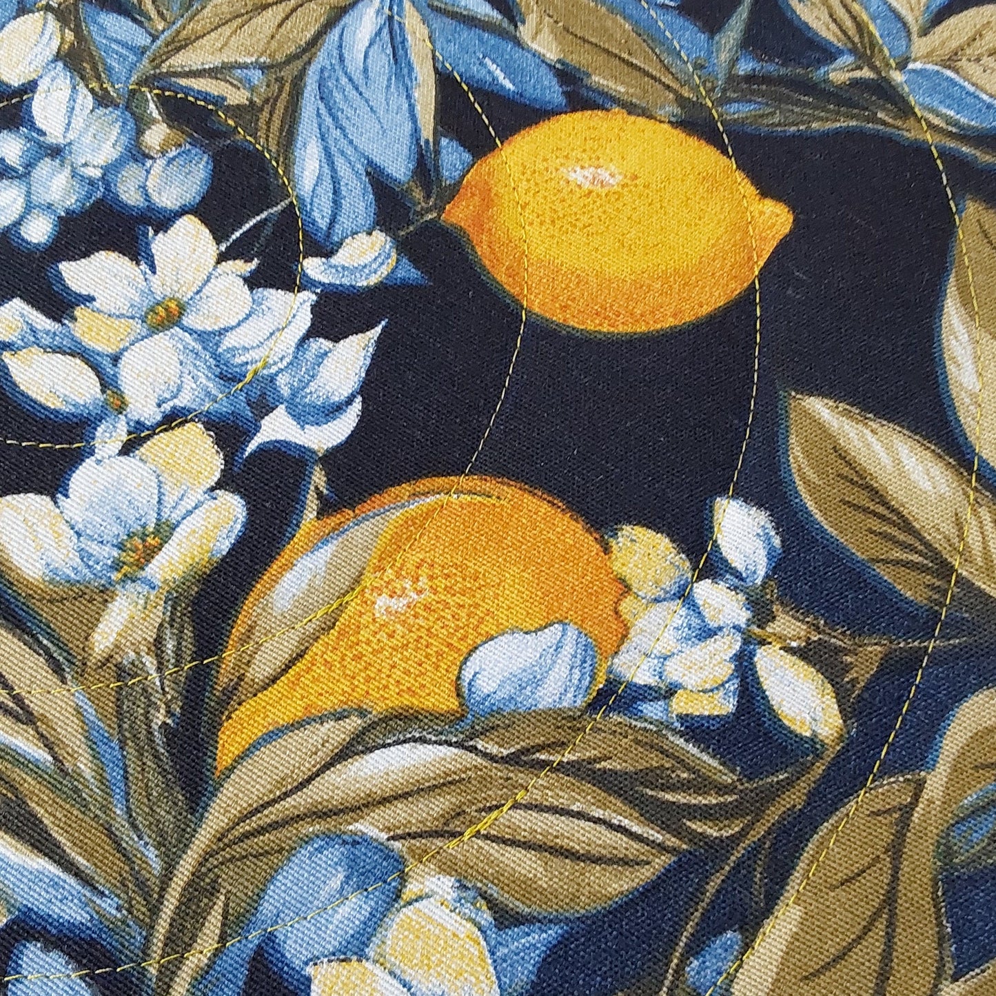 Lemons on dark blue